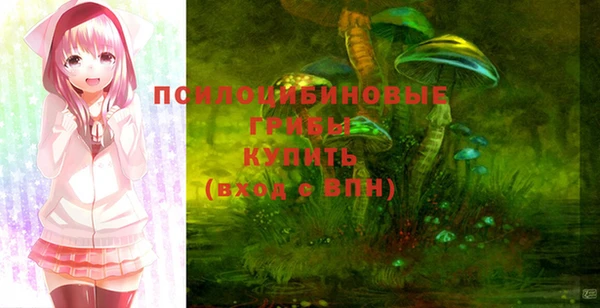 спиды Нефтекумск