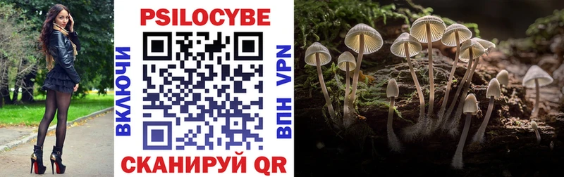 Псилоцибиновые грибы Psilocybine cubensis  Нариманов 